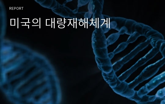 미국의 대량재해체계