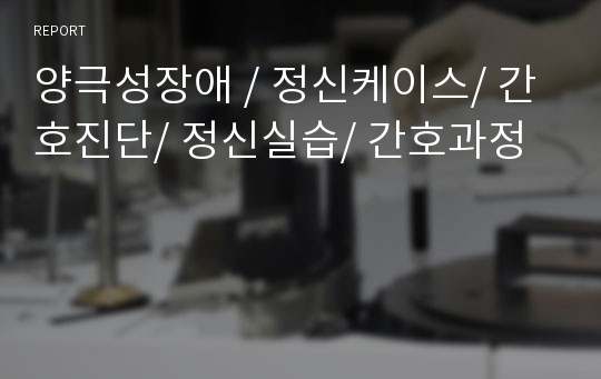 양극성장애 / 정신케이스/ 간호진단/ 정신실습/ 간호과정