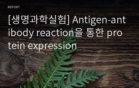 [생명과학실험] Antigen-antibody reaction을 통한 protein expression