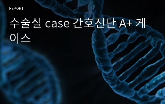 수술실 case 간호진단 A+ 케이스