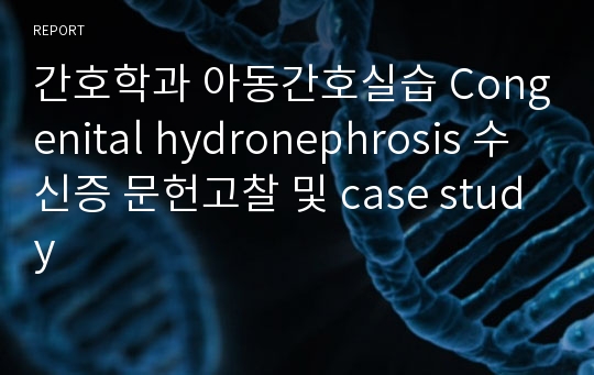 간호학과 아동간호실습 Congenital hydronephrosis 수신증 문헌고찰 및 case study