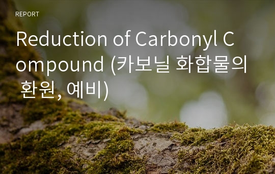 Reduction of Carbonyl Compound (카보닐 화합물의 환원, 예비)