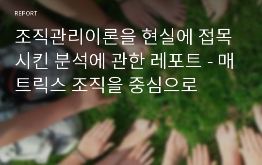 조직관리이론을 현실에 접목시킨 분석에 관한 레포트 - 매트릭스 조직을 중심으로