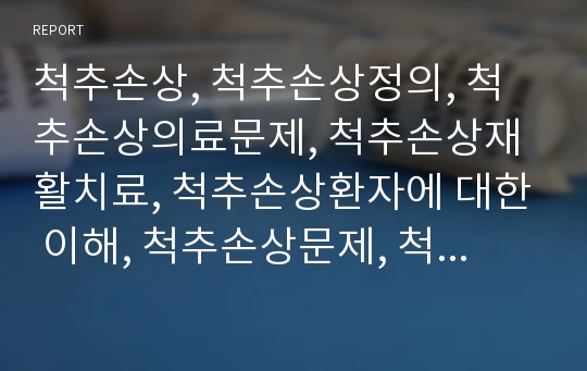 척추손상, 척추손상정의, 척추손상의료문제, 척추손상재활치료, 척추손상환자에 대한 이해, 척추손상문제, 척추손상와 사회복지사개입, 척추손상사례, 척추손상상담