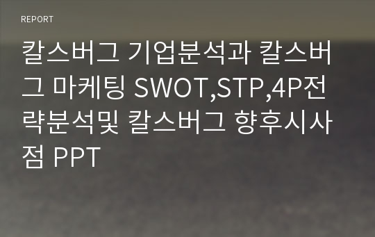 칼스버그 기업분석과 칼스버그 마케팅 SWOT,STP,4P전략분석및 칼스버그 향후시사점 PPT