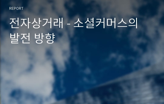 전자상거래 - 소셜커머스의 발전 방향