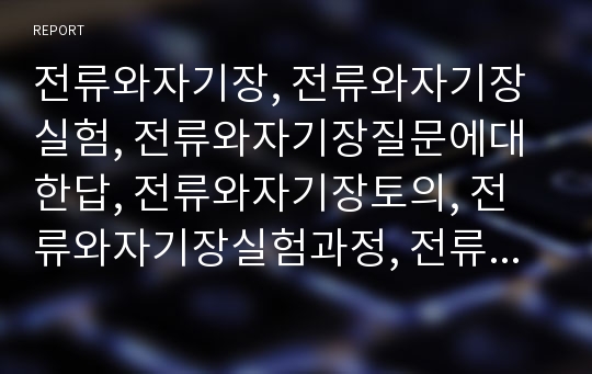 전류와자기장, 전류와자기장실험, 전류와자기장질문에대한답, 전류와자기장토의, 전류와자기장실험과정, 전류와자기장결과에대한검토