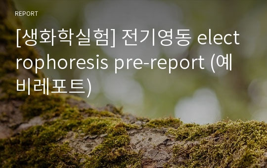 [생화학실험] 전기영동 electrophoresis pre-report (예비레포트)