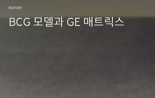 BCG 모델과 GE 매트릭스