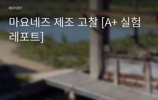 마요네즈 제조 고찰 [A+ 실험레포트]