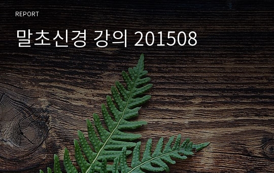 말초신경 강의 201508