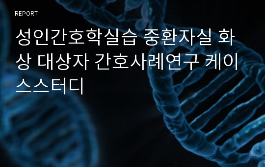 성인간호학실습 중환자실 화상 대상자 간호사례연구 케이스스터디