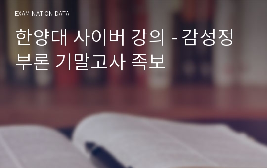 한양대 사이버 강의 - 감성정부론 기말고사 족보