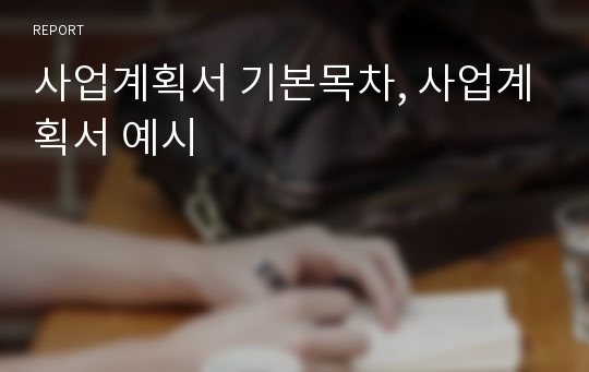 사업계획서 기본목차, 사업계획서 예시