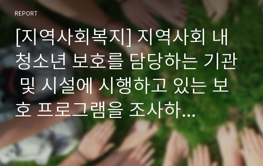 [지역사회복지] 지역사회 내 청소년 보호를 담당하는 기관 및 시설에 시행하고 있는 보호 프로그램을 조사하고 분석하시오