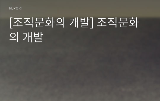 [조직문화의 개발] 조직문화의 개발