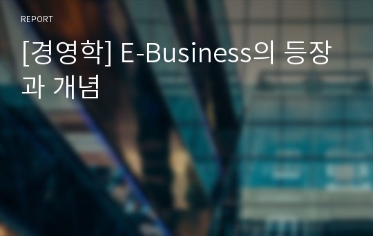 [경영학] E-Business의 등장과 개념