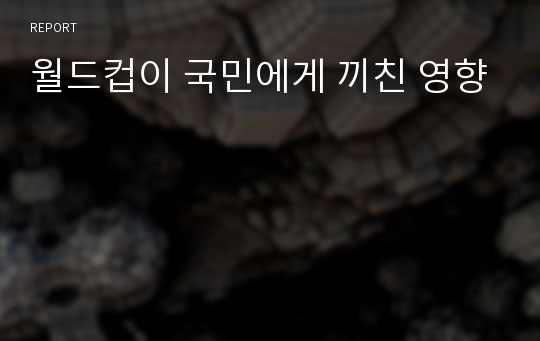 월드컵이 국민에게 끼친 영향