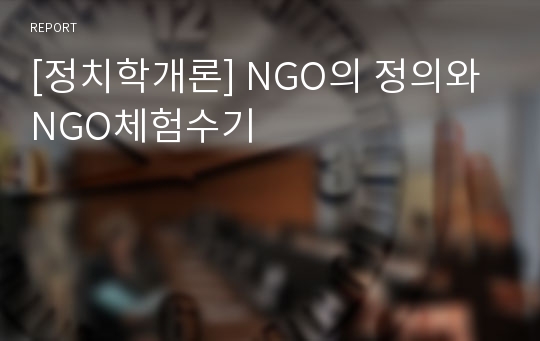 [정치학개론] NGO의 정의와 NGO체험수기