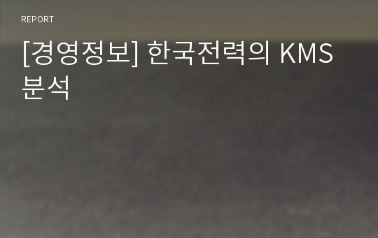 [경영정보] 한국전력의 KMS분석
