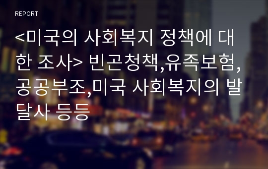 &lt;미국의 사회복지 정책에 대한 조사&gt; 빈곤청책,유족보험,공공부조,미국 사회복지의 발달사 등등