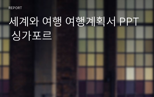 세계와 여행 여행계획서 PPT 싱가포르