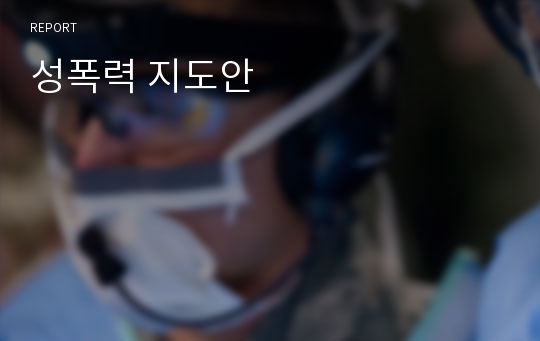 성폭력 지도안