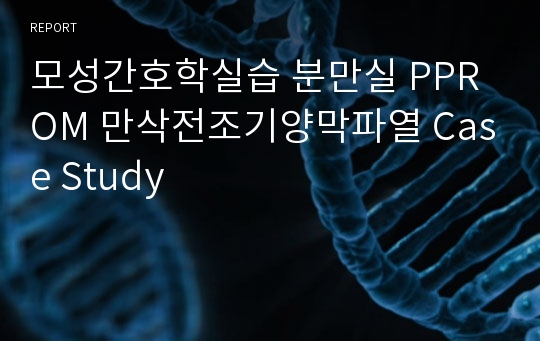 모성간호학실습 분만실 PPROM 만삭전조기양막파열 Case Study