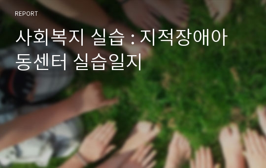 사회복지 실습 : 지적장애아동센터 실습일지