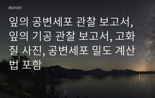 잎의 공변세포 관찰 보고서,잎의 기공 관찰 보고서, 고화질 사진, 공변세포 밀도 계산법 포함