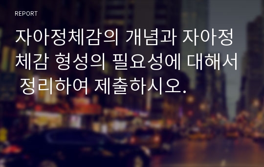 자아정체감의 개념과 자아정체감 형성의 필요성에 대해서 정리하여 제출하시오.