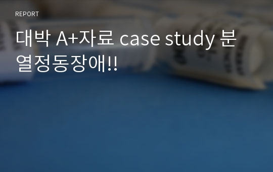 대박 A+자료 case study 분열정동장애!! 
