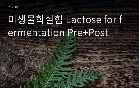 미생물학실험 Lactose for fermentation Pre+Post