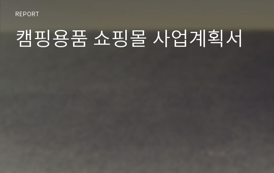 캠핑용품 쇼핑몰 사업계획서