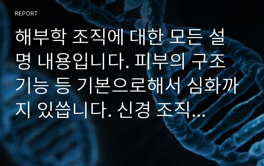 해부학 조직에 대한 모든 설명 내용입니다. 피부의 구조 기능 등 기본으로해서 심화까지 있씁니다. 신경 조직 등 여러가지에 대한 설명을 포괄적이고 핵심만해서 간추렸습니다.