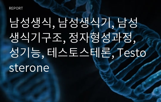 남성생식, 남성생식기, 남성생식기구조, 정자형성과정, 성기능, 테스토스테론, Testosterone