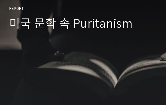 미국 문학 속 Puritanism