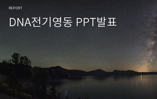 DNA전기영동 PPT발표