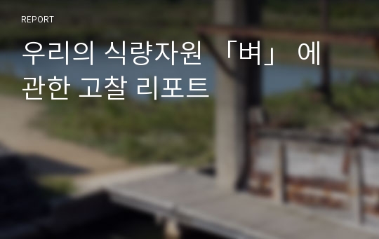 우리의 식량자원 「벼」 에 관한 고찰 리포트