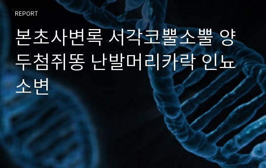 본초사변록 서각코뿔소뿔 양두첨쥐똥 난발머리카락 인뇨소변