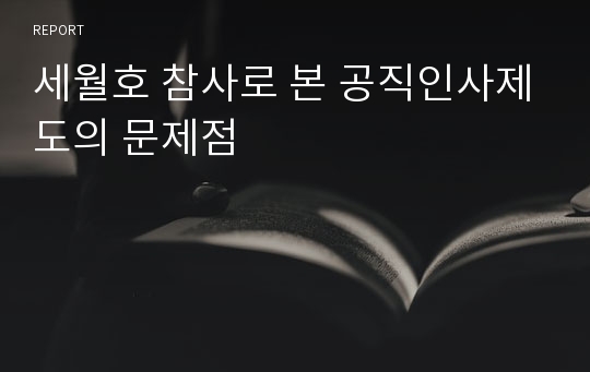 세월호 참사로 본 공직인사제도의 문제점