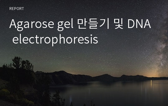 Agarose gel 만들기 및 DNA electrophoresis