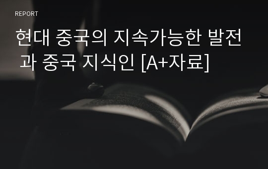 현대 중국의 지속가능한 발전 과 중국 지식인 [A+자료]