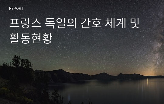 프랑스 독일의 간호 체계 및 활동현황