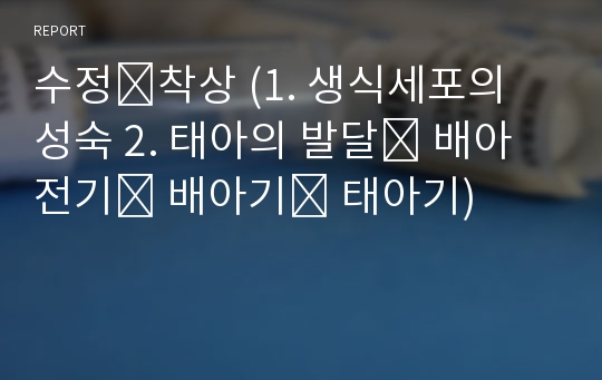 수정․착상 (1. 생식세포의 성숙 2. 태아의 발달․ 배아전기․ 배아기․ 태아기)