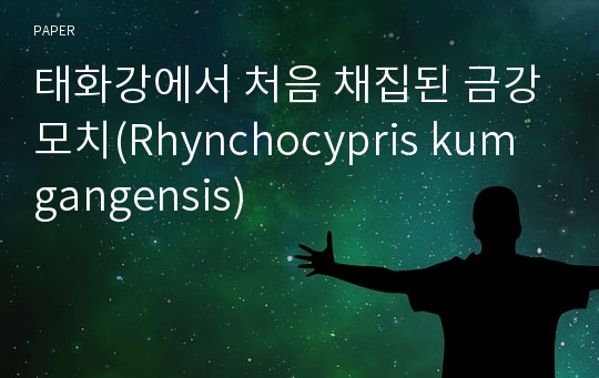 태화강에서 처음 채집된 금강모치(Rhynchocypris kumgangensis)