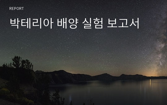 박테리아 배양 실험 보고서