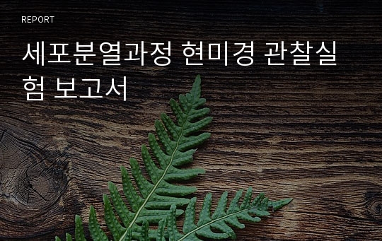 세포분열과정 현미경 관찰실험 보고서