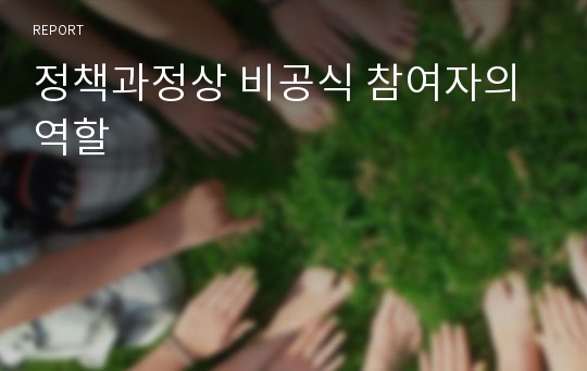 정책과정상 비공식 참여자의 역할