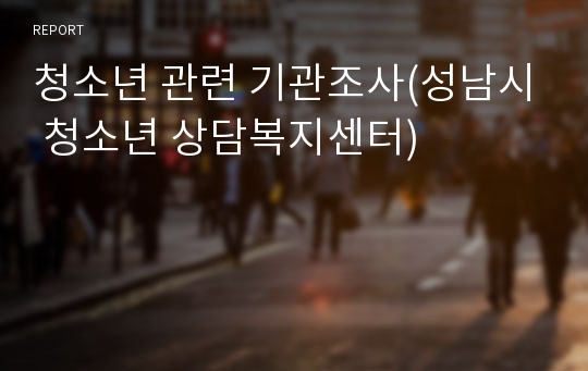 청소년 관련 기관조사(성남시 청소년 상담복지센터)